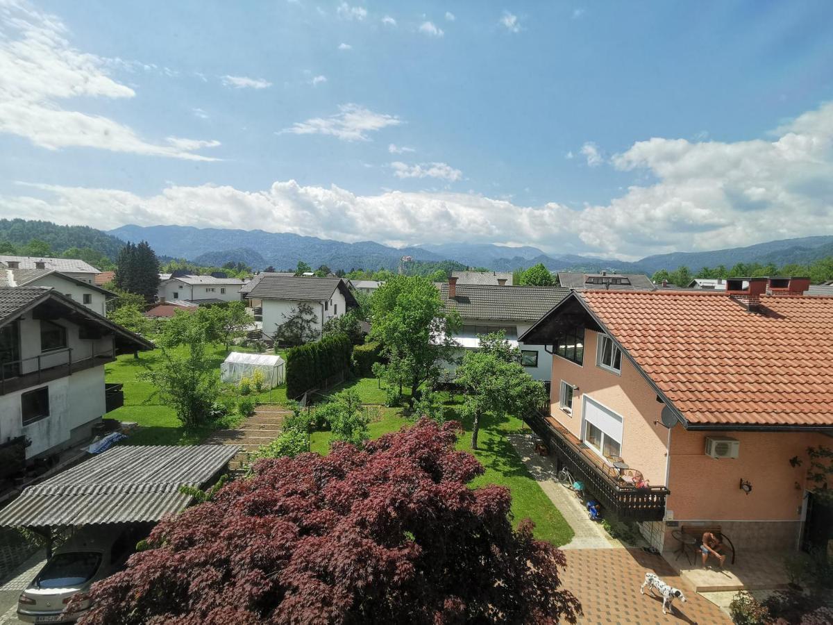 Apartment Lakebled With Casle View *
