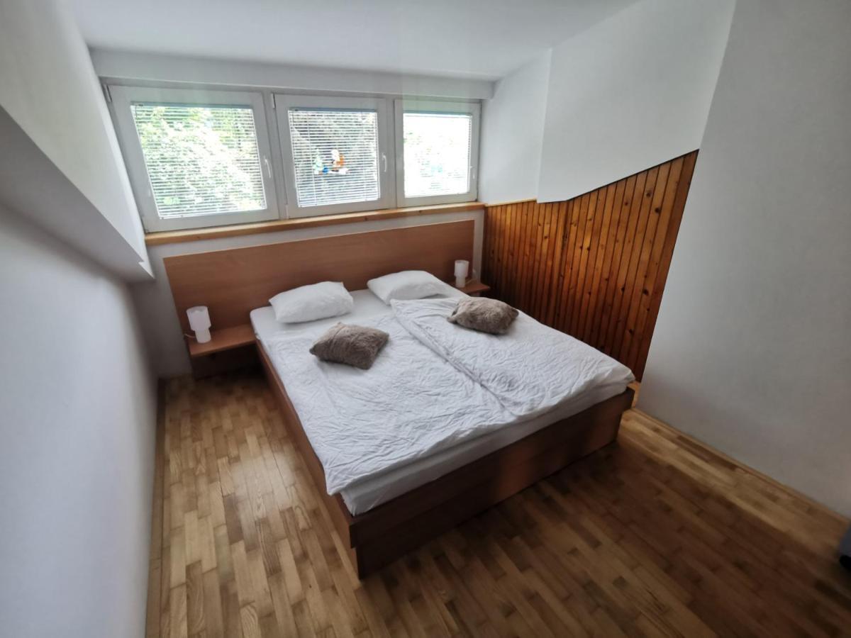 Apartment Lakebled With Casle View Bled